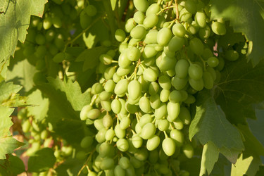 Similar image 771504