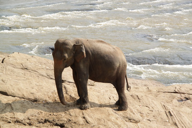 Similar image 771507