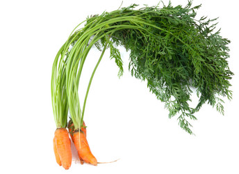 Similar image 771531