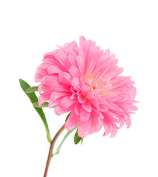 Similar image 771536