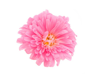 Similar image 771538