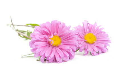 Similar image 771539