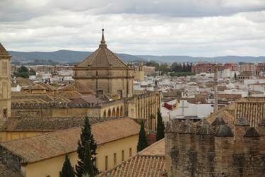 Similar image 771546