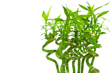 Similar image 771613