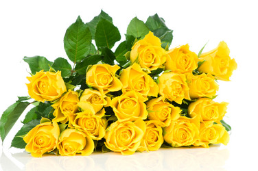 Similar image 771618