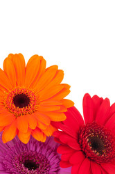 Similar image 771620