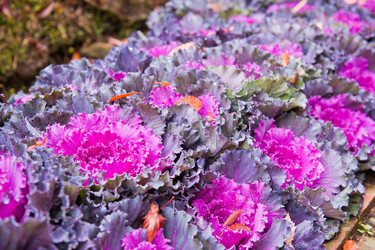 Similar image 771638