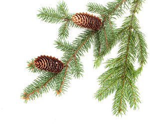 Similar image 771660