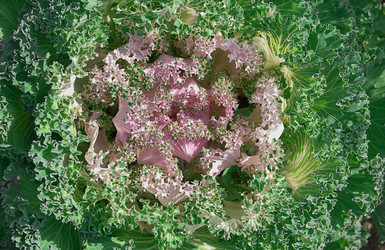 Similar image 771677