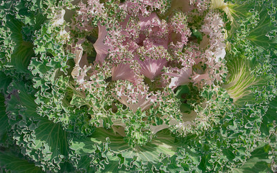 Similar image 771680