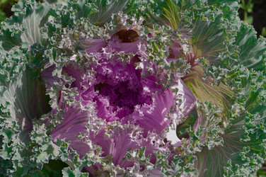 Similar image 771681