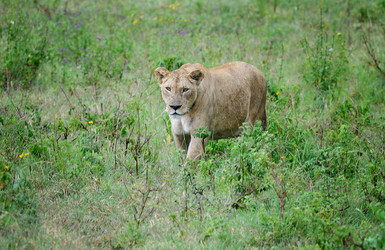 Similar image 771748