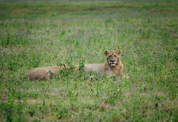 Similar image 771755