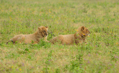 Similar image 771758