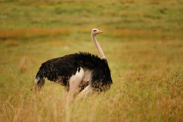 Similar image 771879