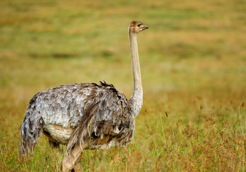 Similar image 771884