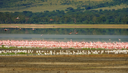 Similar image 771897