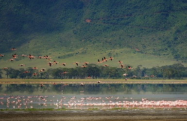 Similar image 771898