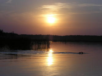 Similar image 771899