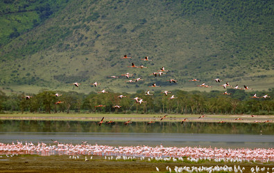 Similar image 771900