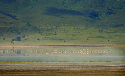 Similar image 771901