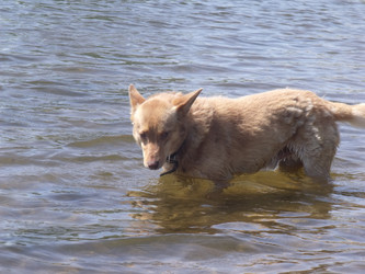 Similar image 771913