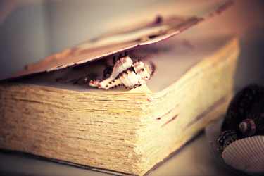 Similar image 771918