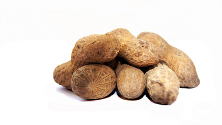 Similar image 771931