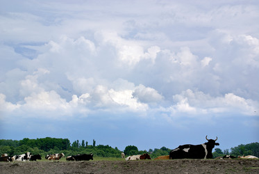 Similar image 771963