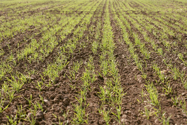 Similar image 772004