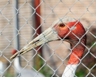 Similar image 772017