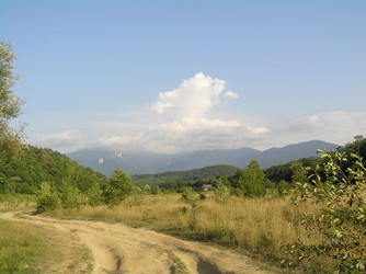 Similar image 772064