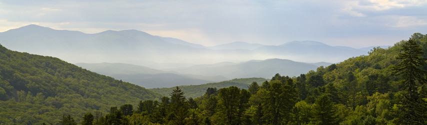 Similar image 772094