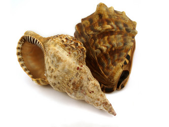 Similar image 772115