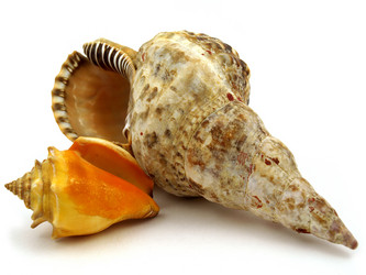 Similar image 772118