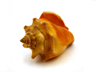 Similar image 772122