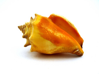 Similar image 772123