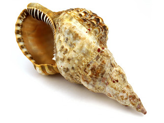 Similar image 772124