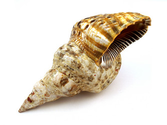 Similar image 772126