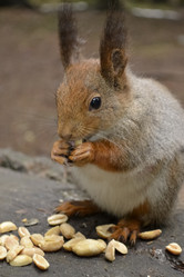 Similar image 772154