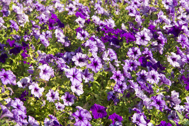 Similar image 772191