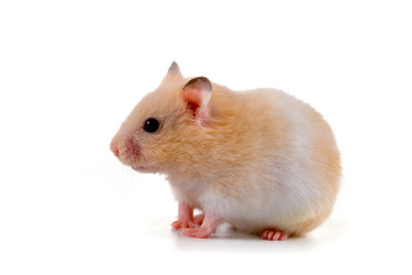 Similar image 772250