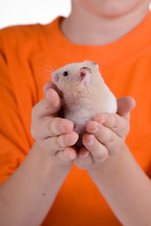 Similar image 772253