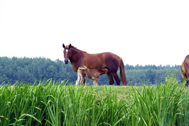 Similar image 772291