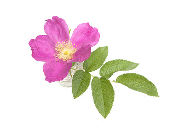 Similar image 772300