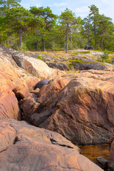 Similar image 772303