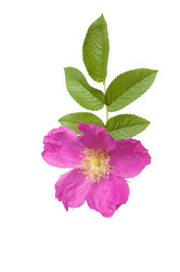 Similar image 772304