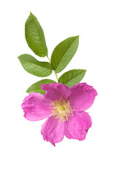 Similar image 772310