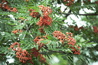 Similar image 772330