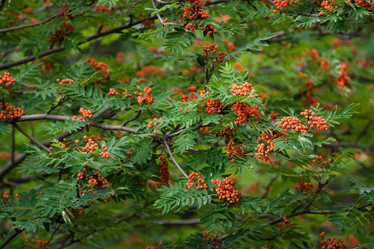 Similar image 772331